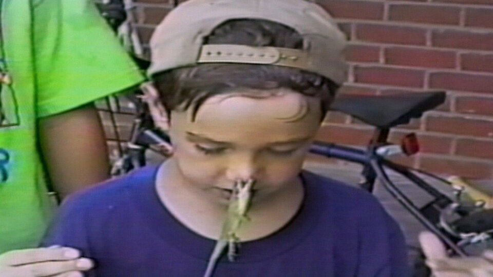 America's Funniest Home Videos