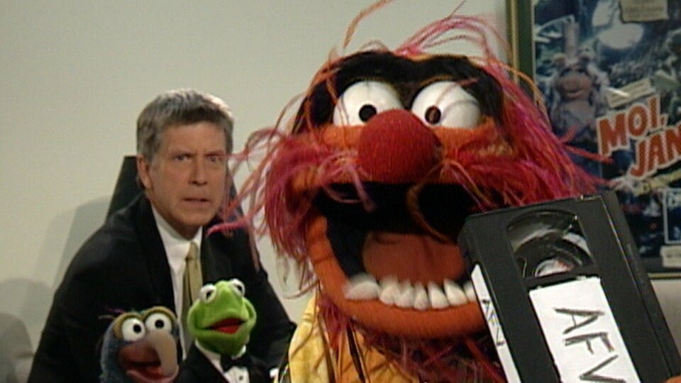 America's Funniest Home Videos