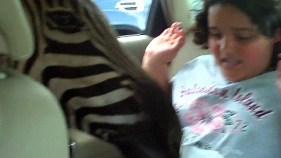 America's Funniest Home Videos